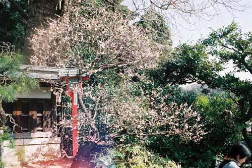 鎌倉　荏柄天神社