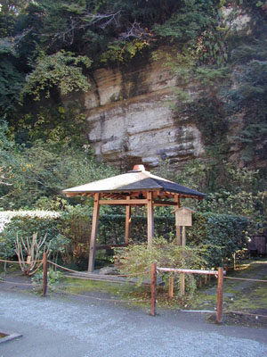 鎌倉　明月院(あじさい寺)