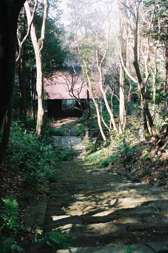 鎌倉　妙法寺(苔寺)