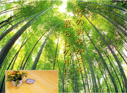竹の爽やかさを、暮らしの中に　バンブーフローリング材　お竹さん